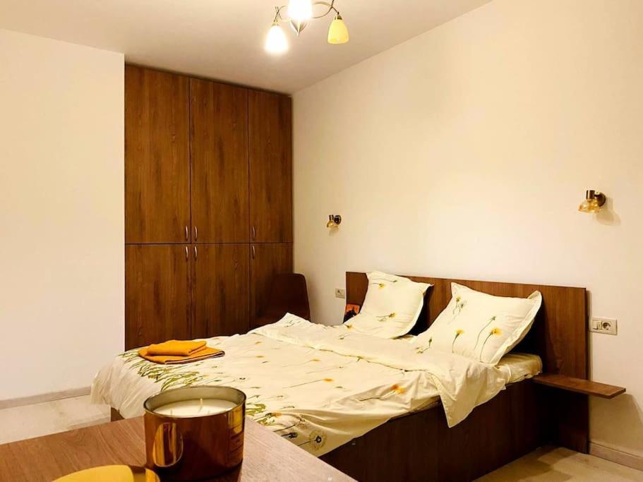 Luxury Apartment อาราด ภายนอก รูปภาพ